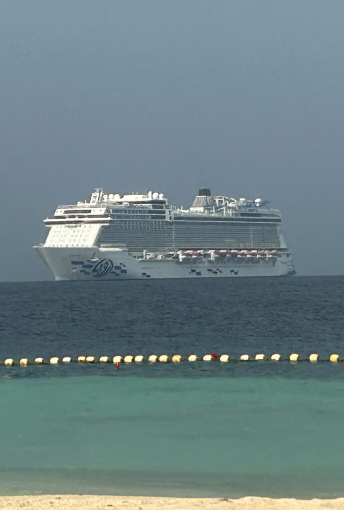 relocation cruise bargains